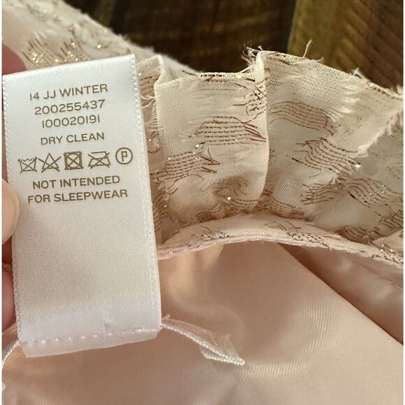 Janie and Jack Pink Tag Metallic Dot Chiffon Dress Size 2T Center Stage - Picture 10 of 10